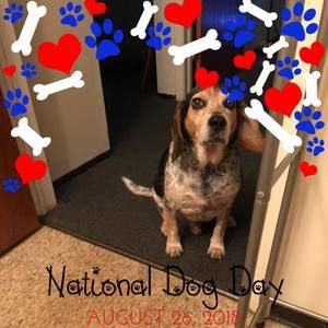 Meet your Posher, Bernadette